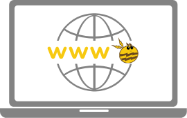 Website version
